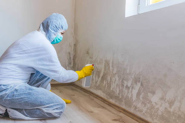 Licensed Mold Remediation service in Jbsa Ft Sam Houston, TX - 24 Hour Mold Removal