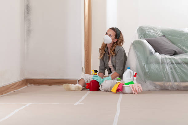 Reliable Mold Remediation contractor in Jbsa Ft Sam Houston, TX by 24 Hour Mold Removal